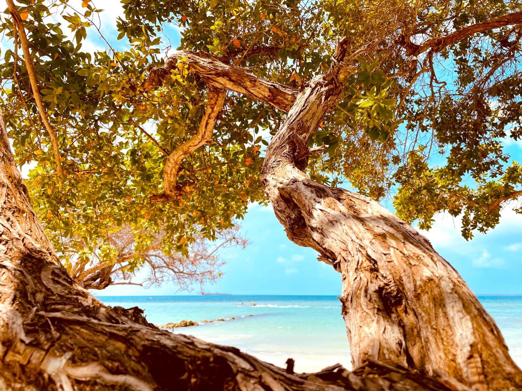 Carey Beach Бару Экстерьер фото