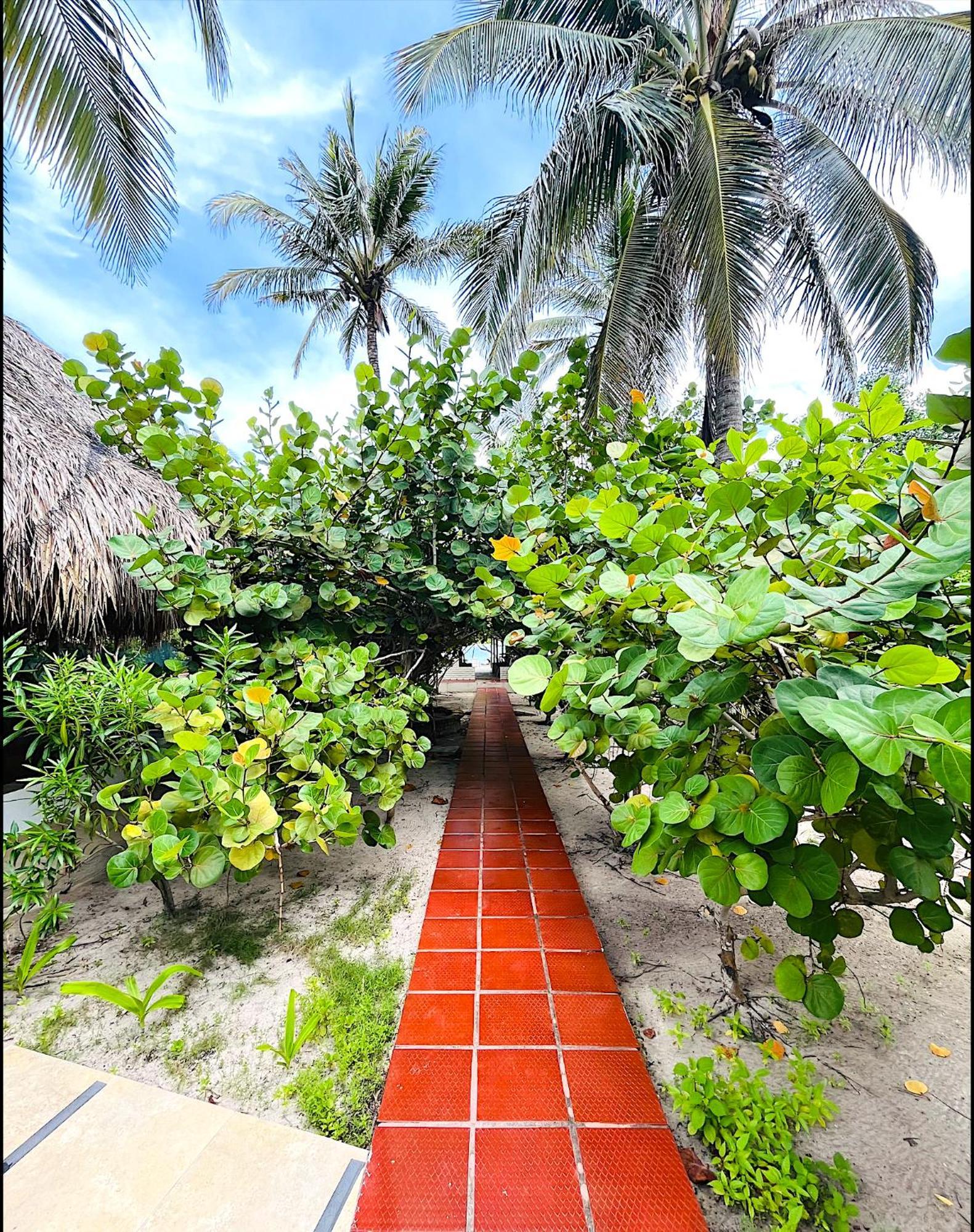 Hotel Carey Beach Бару Экстерьер фото